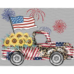 USA-MG 3193